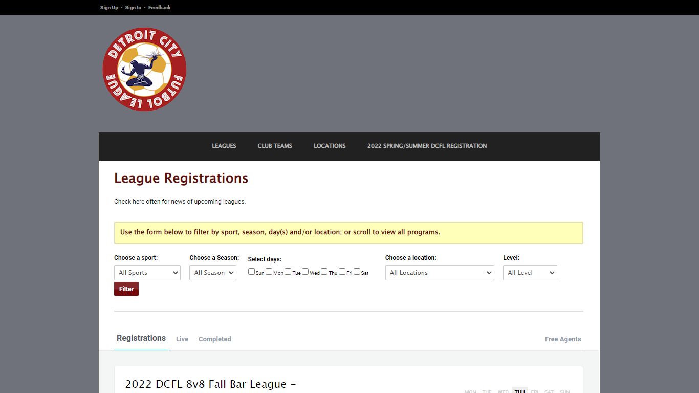 Detroit City Futbol League : Leagues